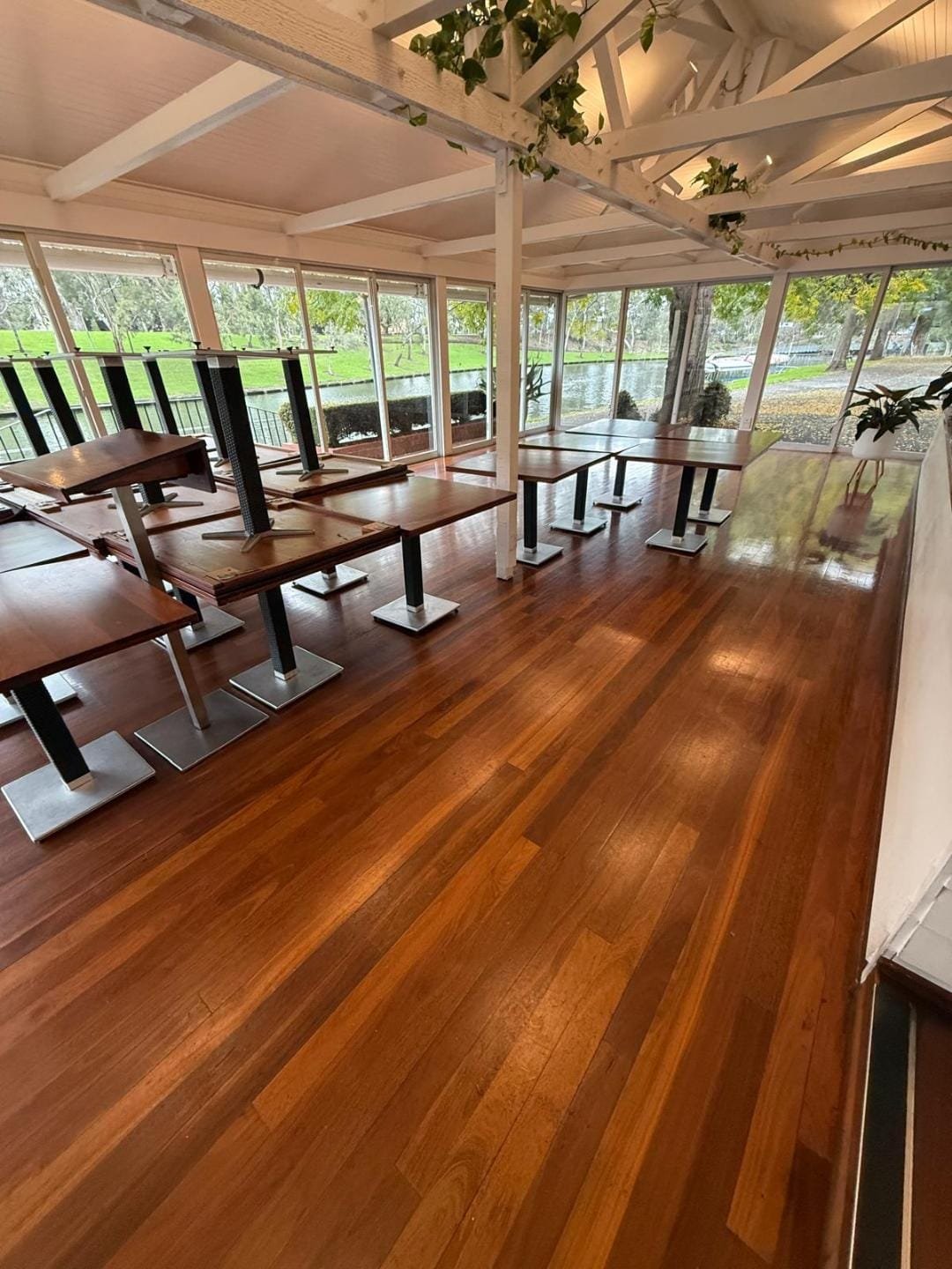 Commercial Business Floor Cleaning